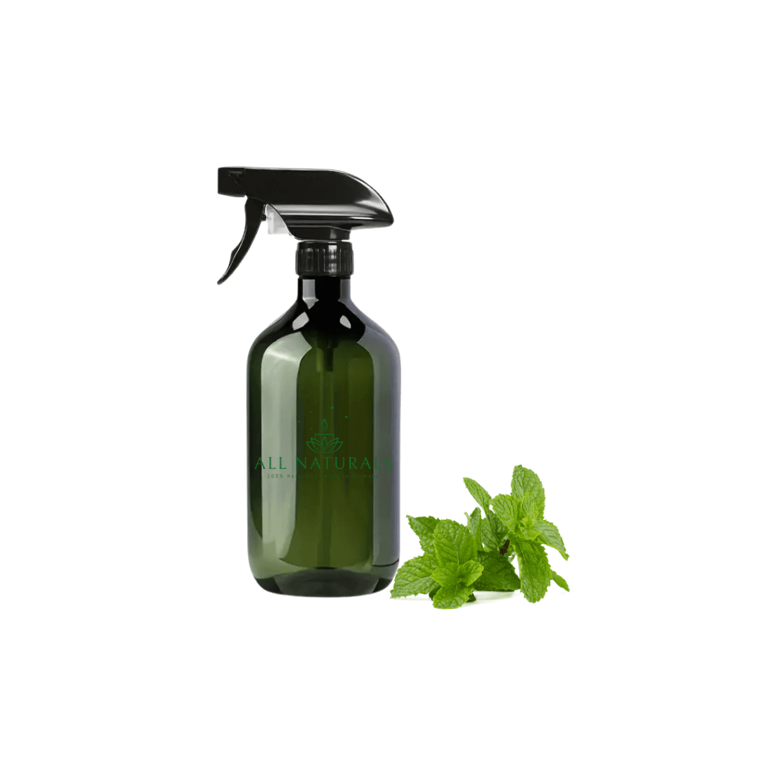 Natürliches - Glasreiniger - 500ml - All Naturals Shop