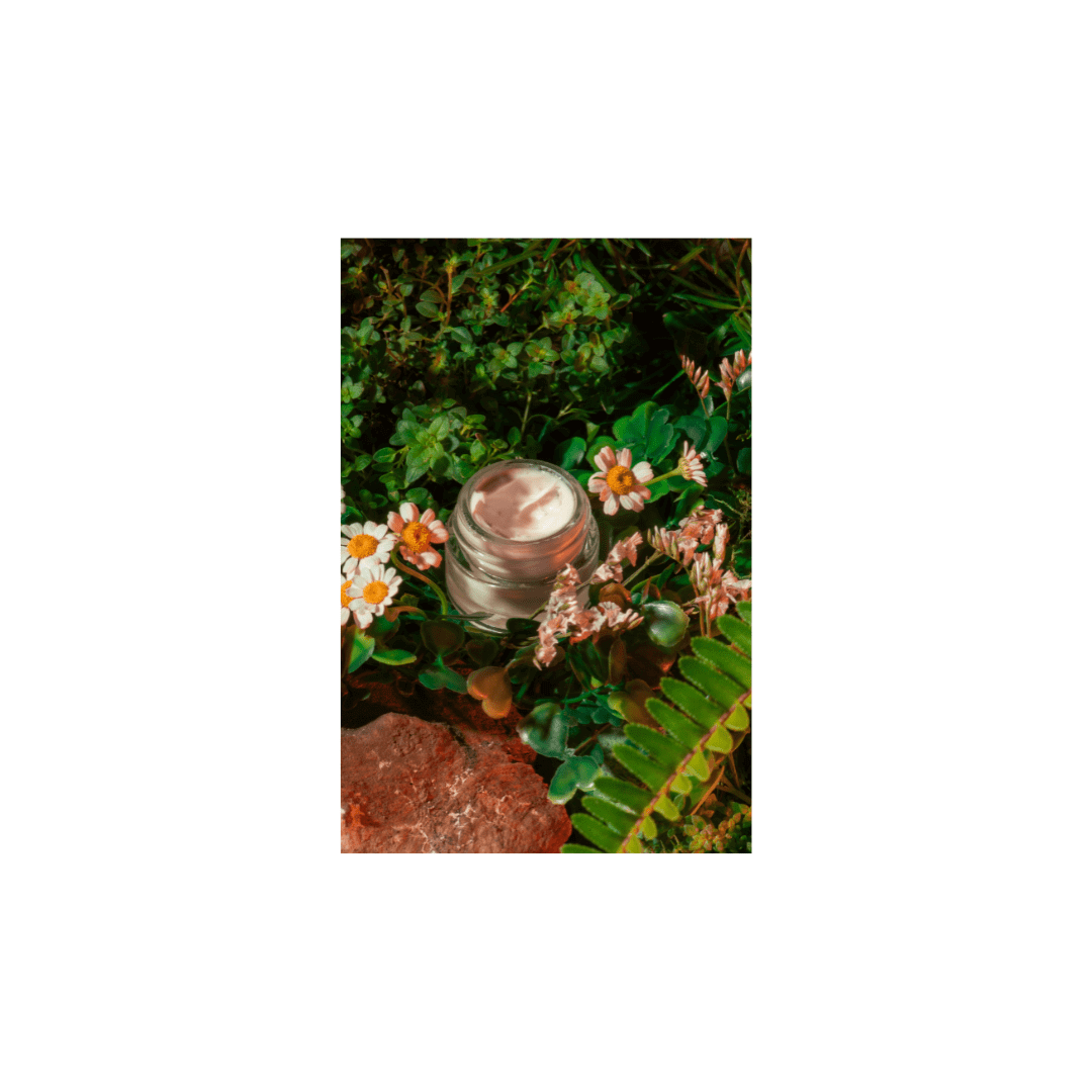 Anti - Aging - Feuchtigkeitscreme mit Squalan – Sofortige Feuchtigkeit und Hautverjüngung - 50ml - All Naturals Shop