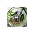 Bio Hydra - Glanz Naturspülung - Glanz & Geschmeidigkeit aus reiner Pflanzenkraft | 300ml - All Naturals Shop