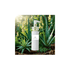 Bio Pure Nature Shampoo - für empfindliche, fettige und gereizte Kopfhaut | 200ml - All Naturals Shop