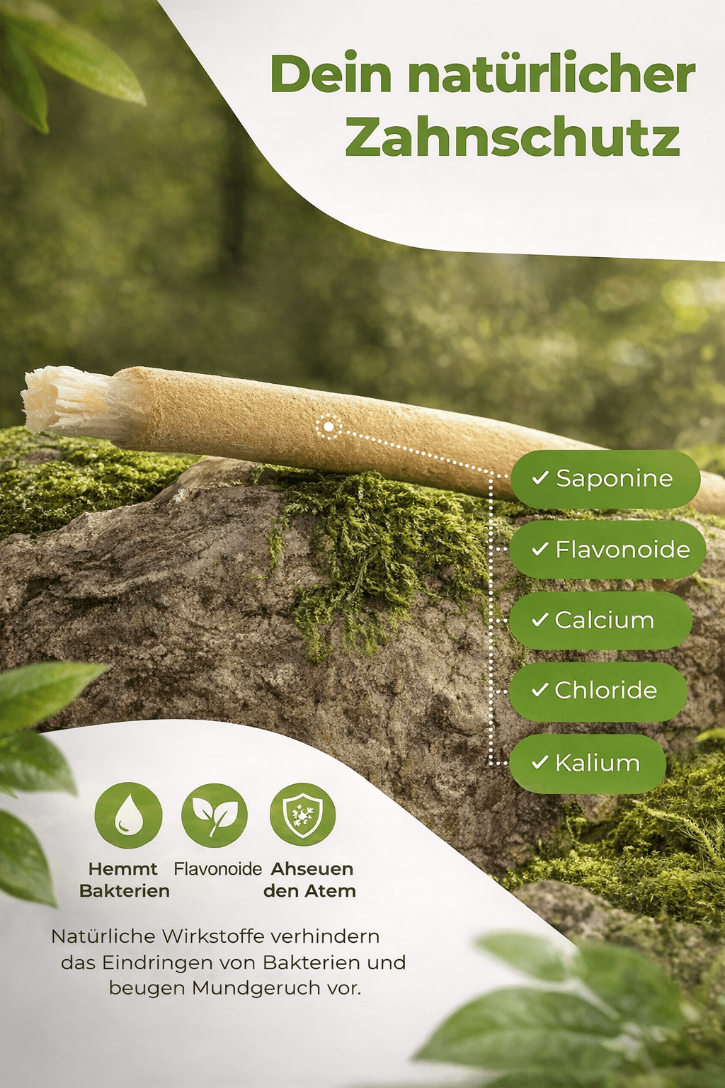 Miswak Set – Natürliche Zahnpflege mit Minze &amp; Nelke (2er Set) - All Naturals Shop