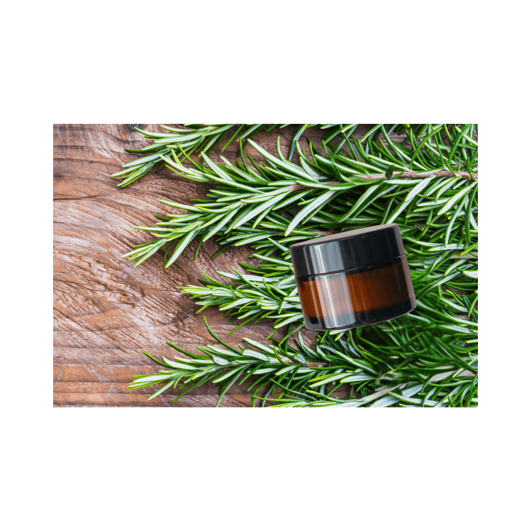 Natürliche Rosmarin Haarcreme - 50ml - All Naturals Shop