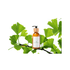 Natürliches Luxe Hair Shampoo - 200ml - All Naturals Shop